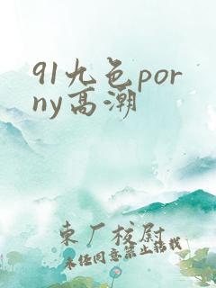 91九色porny高潮