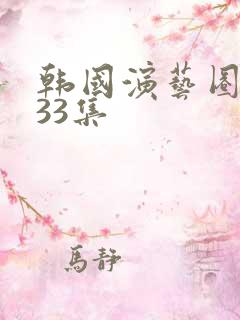 韩国演艺圈事件33集