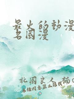 最火的动漫前十名国漫 最火的动漫前十名国漫