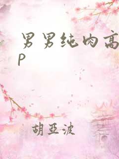 男男纯肉高hnp