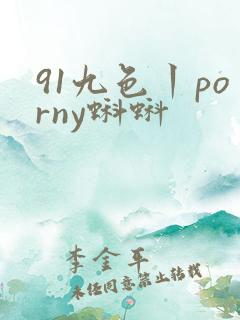 91九色丨porny蝌蚪