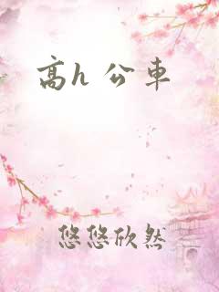 高h 公车