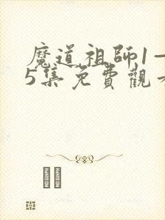 魔道祖师1—35集免费观看