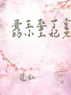 晋王娶了会画符的小王妃免费阅读