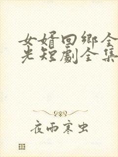 女婿回乡全村风光短剧全集在线观看