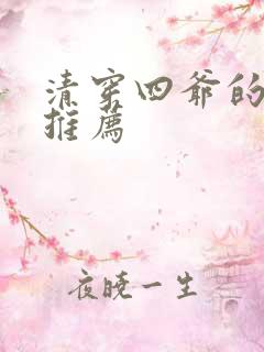清穿四爷的小说推荐