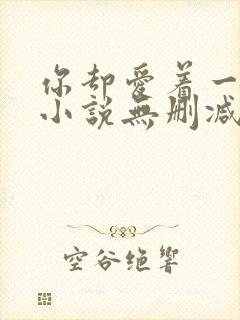 你却爱着一个他小说无删减版