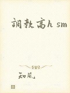 调教高h sm