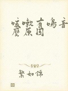 咳嗽有鸣音是什么原因