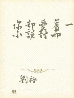 你却爱着一个他小说封面