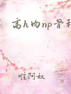 高h肉np骨科