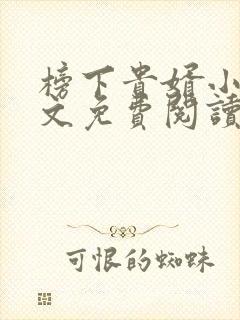 榜下贵婿小说全文免费阅读完整版