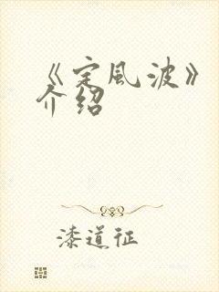 《定风波》剧集介绍