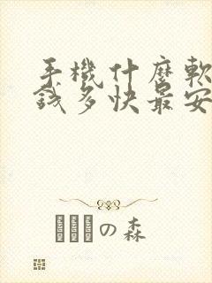 手机什么软件赚钱多快最安全