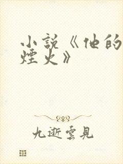小说《他的爱与烟火》