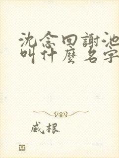 沈念回谢池小说叫什么名字