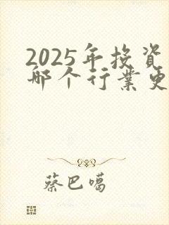 2025年投资哪个行业更稳妥