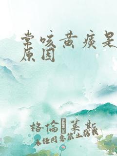常咳黄痰是什么原因