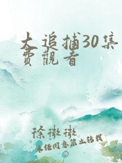 大追捕30集免费观看