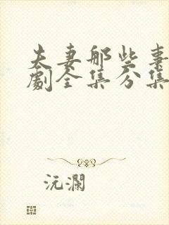 夫妻那些事电视剧全集分集剧情介绍