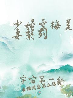 少妇云梅美妙人妻系列