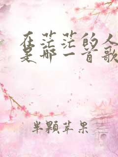 在茫茫的人海里是哪一首歌的歌词