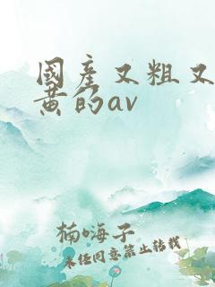 国产又粗又猛又黄的av