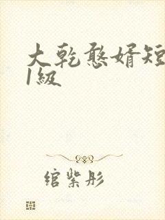 大乾憨婿短剧11级