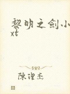 黎明之剑小说txt