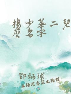 杨少华二儿叫什么名字