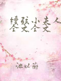 续弦小夫人阅读全文全文