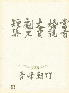 短剧大婚当日全集免费观看 短剧大婚当日全集免费观看