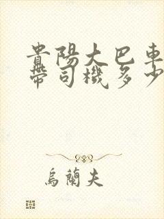 贵阳大巴车包车带司机多少钱一天
