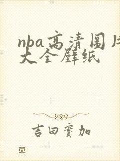 nba高清图片大全壁纸