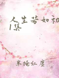 人生若如初见第1集