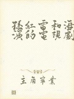 孙红雷和海清主演的电视剧有哪些