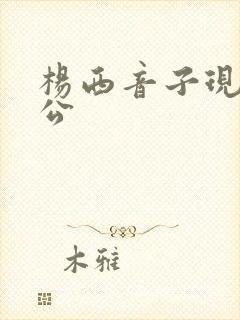 杨西音子现任老公