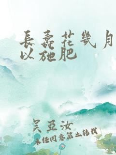 长寿花几月份可以施肥