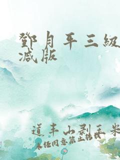 邓月平三级无删减版