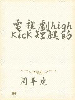 电视剧highkick短腿的反击国语韩剧全集版 电视剧highkick短腿的反击国语韩剧全集版
