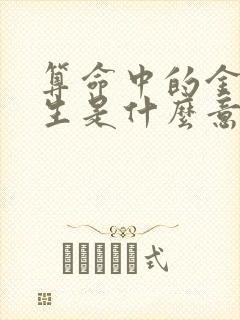 算命中的金水相生是什么意思