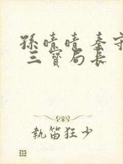 孙晴晴 秦守仁 三宝局长