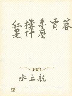 红楼梦贾蓉结局是什么