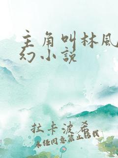 主角叫林风的玄幻小说