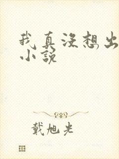 我真没想出名 小说