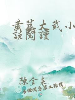 黄蓉大武小武小说阅读