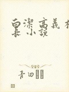 白洁 高义 校长 小说