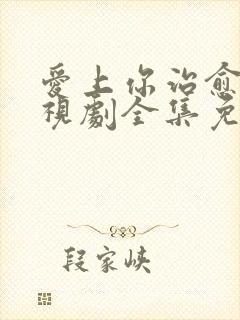 爱上你治愈我电视剧全集免费