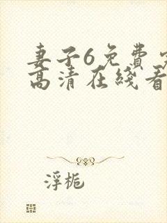 妻子6免费完整高清在线看中文 妻子6免费完整高清在线看中文