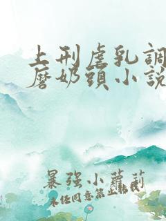 上刑虐乳调教折磨奶头小说